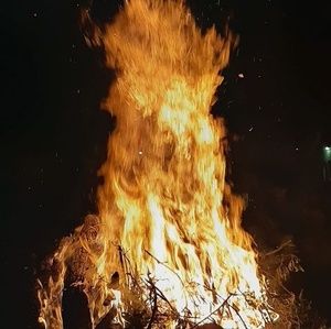 Meet your Posher, Brendan